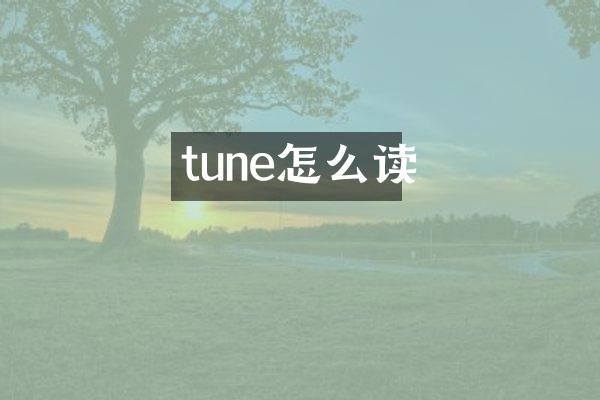 tune怎么读