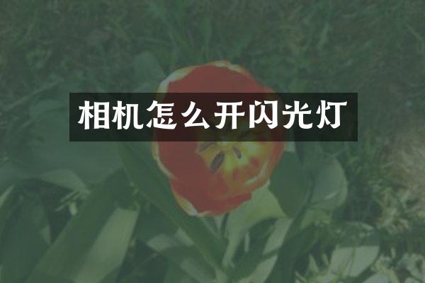 相机怎么开闪光灯