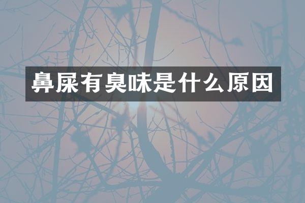 鼻屎有臭味是什么原因