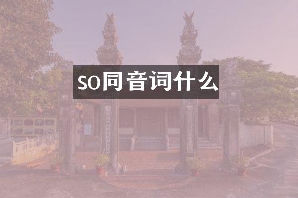 so同音词什么