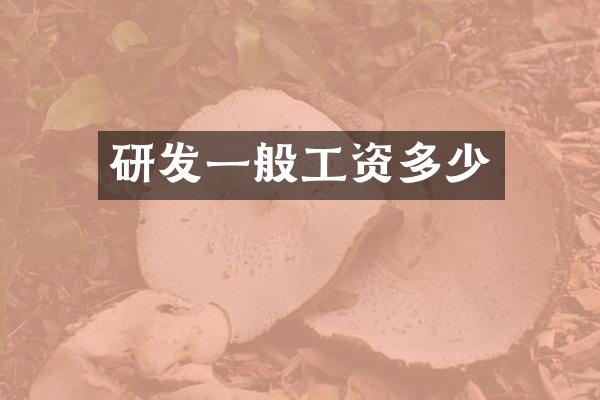 研发一般工资多少
