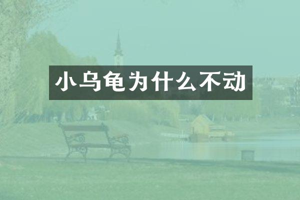小乌龟为什么不动
