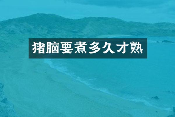 猪脑要煮多久才熟