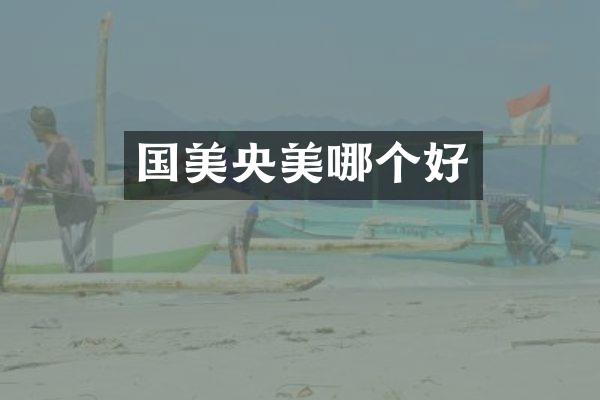 国美央美哪个好