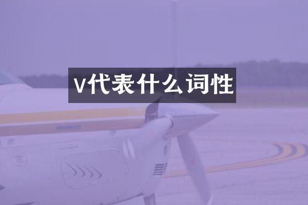 v代表什么词性