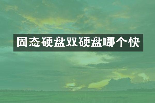 固态硬盘双硬盘哪个快
