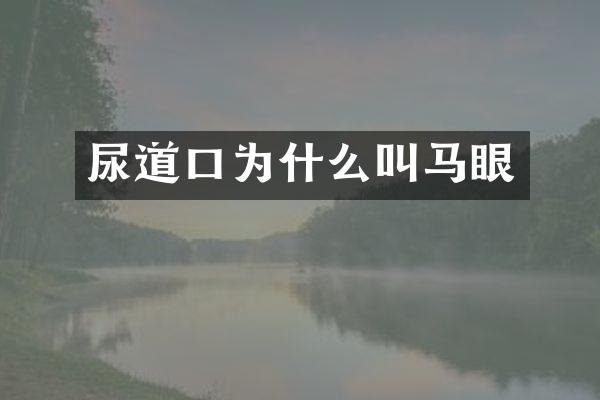 尿道口为什么叫马眼