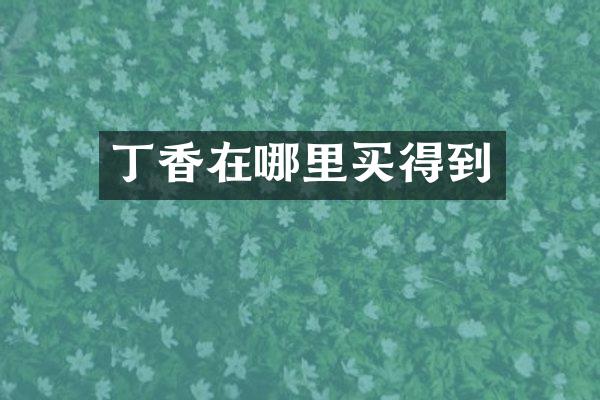 丁香在哪里买得到