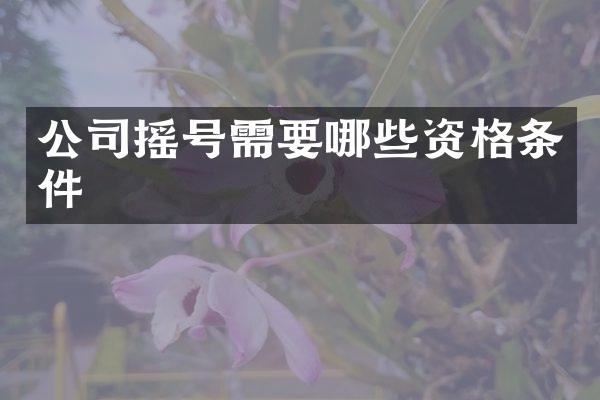 公司摇号需要哪些资格条件