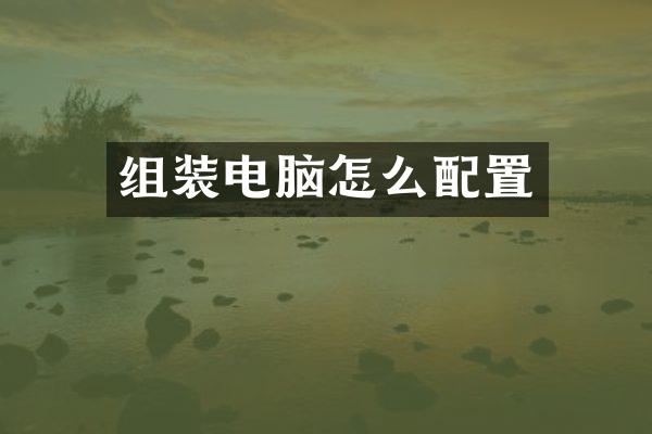 组装电脑怎么配置