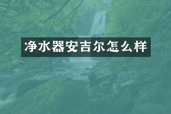 净水器安吉尔怎么样