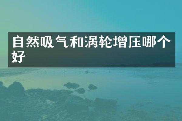自然吸气和涡轮增压哪个好