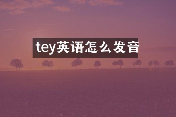 tey英语怎么发音