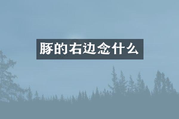 豚的右边念什么