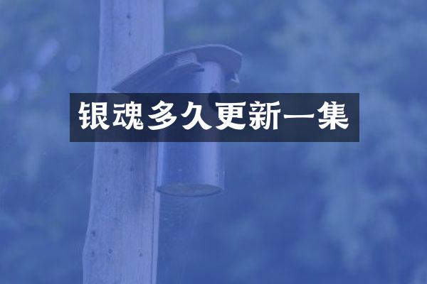 银魂多久更新一集