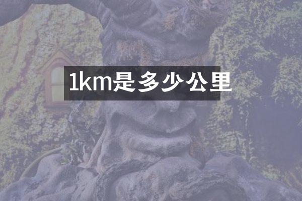 1km是多少公里