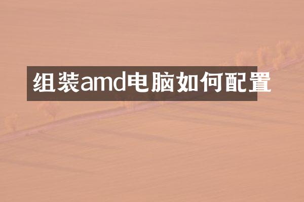 组装amd电脑如何配置