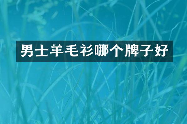 男士羊毛衫哪个牌子好