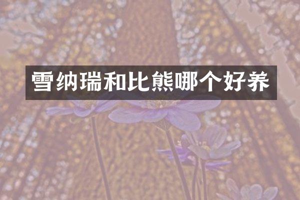 雪纳瑞和比熊哪个好养