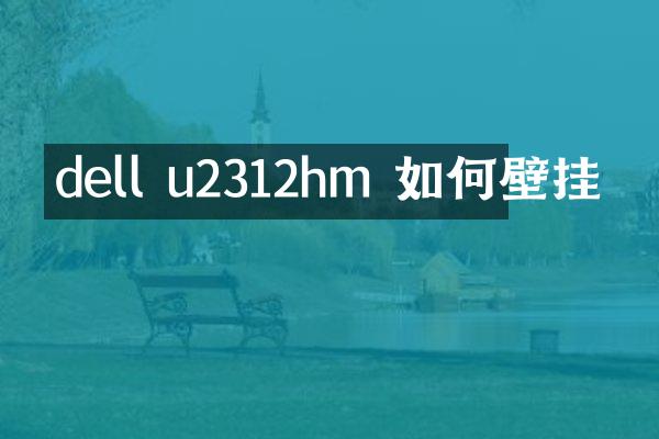 dell u2312hm 如何壁挂