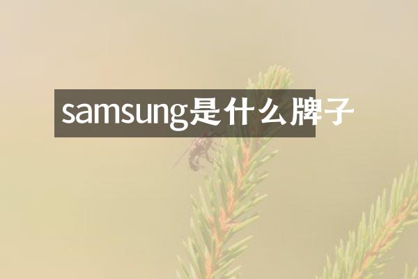 samsung是什么牌子