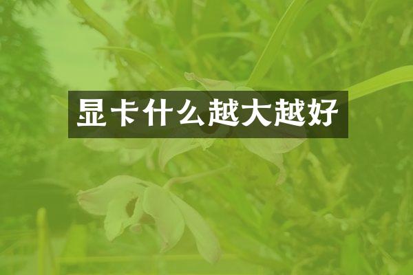 显卡什么越大越好