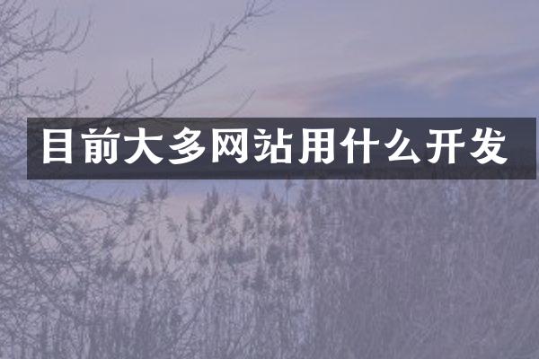 目前大多网站用什么开发