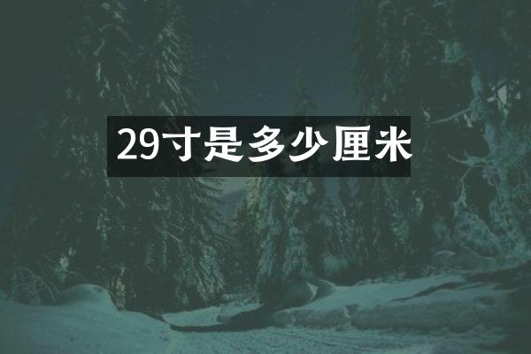 29寸是多少厘米