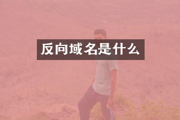 反向域名是什么