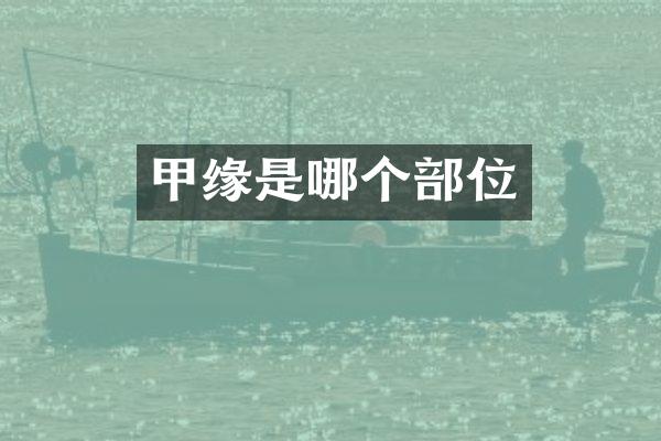 甲缘是哪个部位