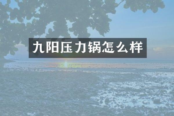 九阳压力锅怎么样