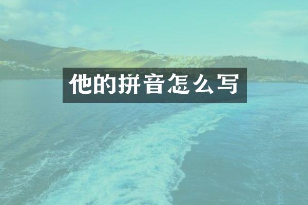 他的拼音怎么写