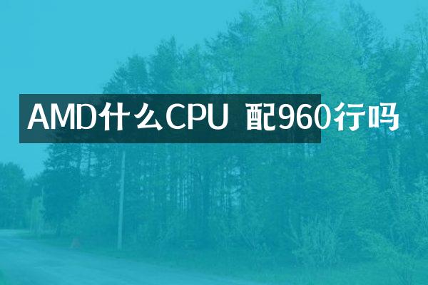 AMD什么CPU 配960行吗