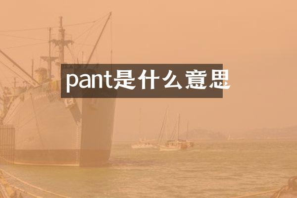 pant是什么意思
