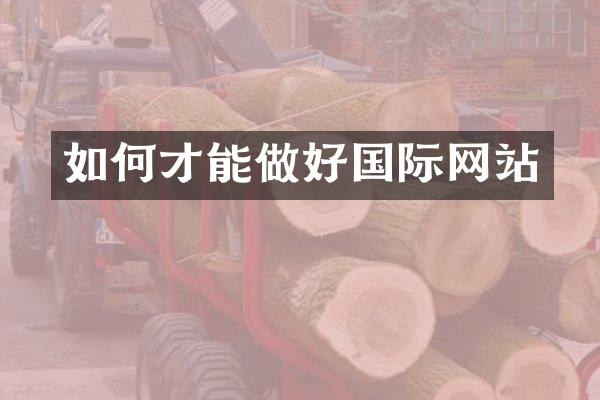 如何才能做好国际网站