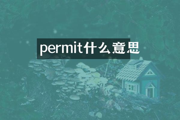permit什么意思
