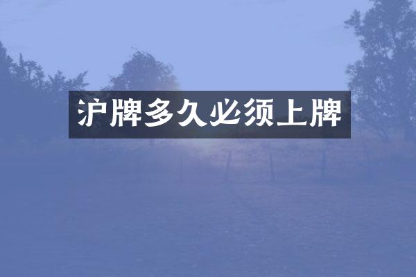 沪牌多久必须上牌