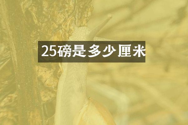 25磅是多少厘米