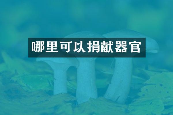哪里可以捐献器官