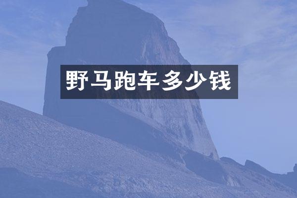 野马跑车多少钱