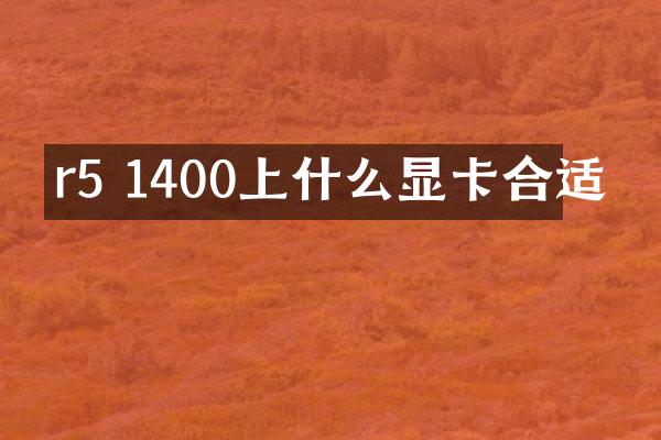 r5 1400上什么显卡合适