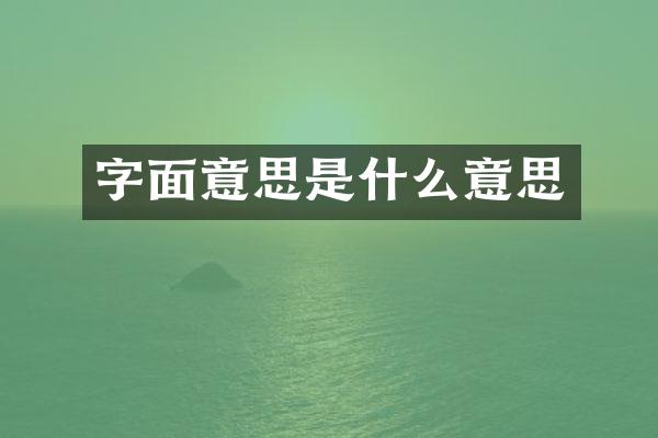 字面意思是什么意思