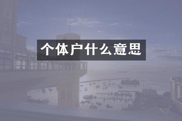 个体户什么意思