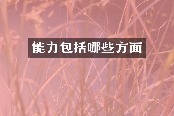 能力包括哪些方面