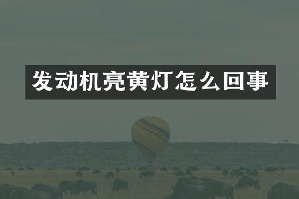 发动机亮黄灯怎么回事