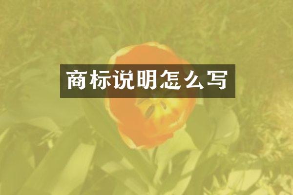 商标说明怎么写