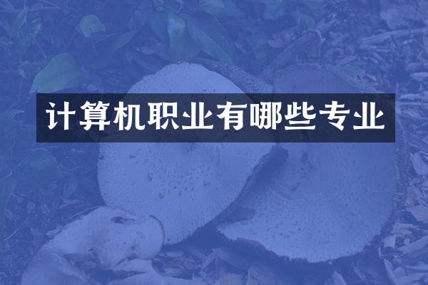 计算机职业有哪些专业