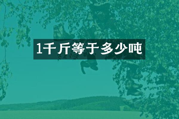 1千斤等于多少吨