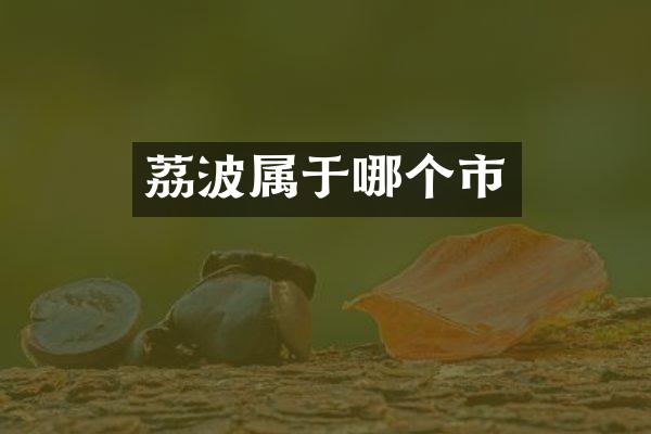荔波属于哪个市