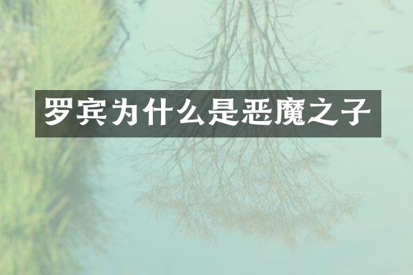 罗宾为什么是恶魔之子